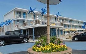 Blue Palms Motel Wildwood Nj